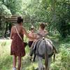 Unusual accommodation Chalet 6 personnes (Occitanie, Haute-Garonne)