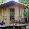  Unusual accommodation Cabane (Nouvelle-Aquitaine, Dordogne)