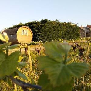 Photo de Hébergement INSOLITE TONNEAU