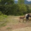  Hébergement insolite tipi Jerolamo (Occitanie, Hérault)