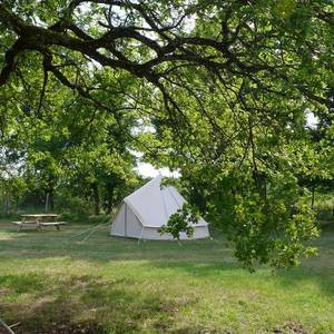 Photo of Saharan tents, camping and alpacas