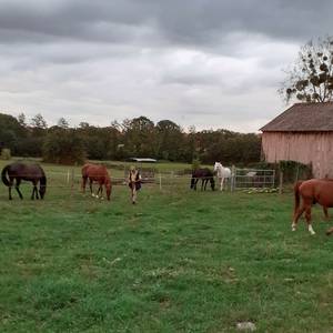 Photo de Ferme des Deux Vallées