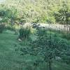 jardin -  Gîte L'Alpage (Provence-Alpes-Côte d’Azur, Hautes-Alpes)
