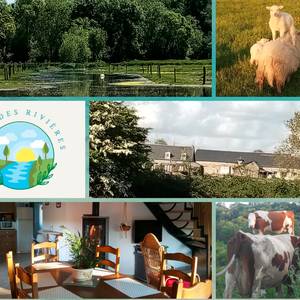 Photo de Gîte des Rivières