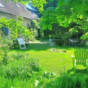 Photo de Bouton d'Or