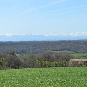 Photo de La Piboulette