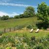 le jardincoin détente -   Gîte du Breil (Occitanie, Aveyron)