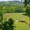 vue sur Les prairies -  Gîte Ecogîte Les Jardins du Batut (Occitanie, Aveyron)