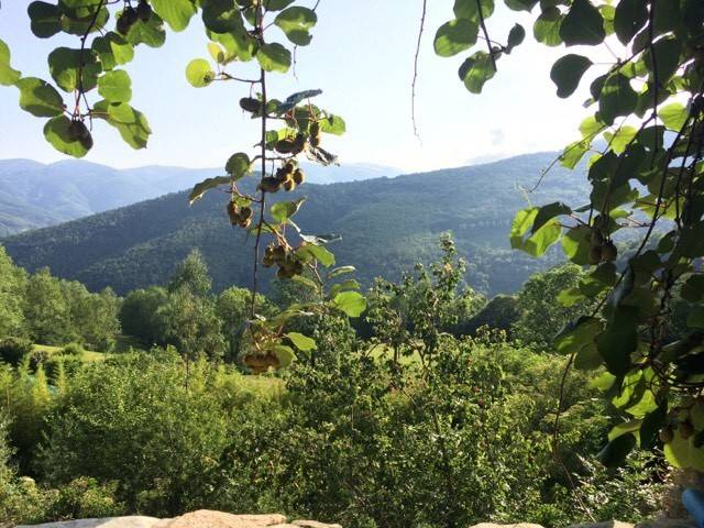 Vue du Mas - Tourist accommodation Occitanie Pyrénées-Orientales Mas Can Founs