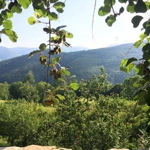 Photo of Mas Can Founs