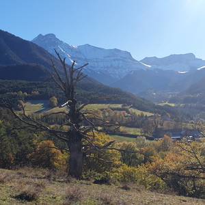 Photo de La Poulânerie