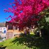 Côté jardin -  Gîte La petit ferme de Laromiguière (Occitanie, Lot)