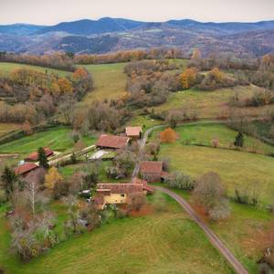 Photo de La Pensée Sauvage, convivialité et ressourcement auprès des plantes
