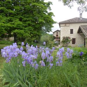 Photo de Gîte rural de Peyres-Combe