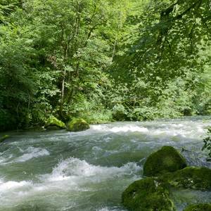 Photo de gite de la Serpentine