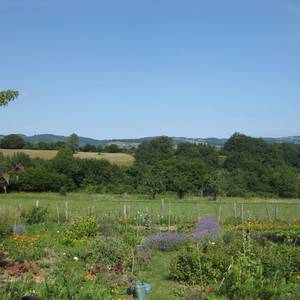 Photo de Gite du Poirier