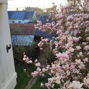 Photo de LA MAISON DE MADELEINE