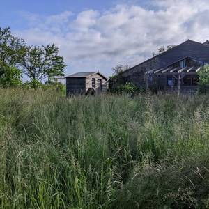 Photo de La gataudiere