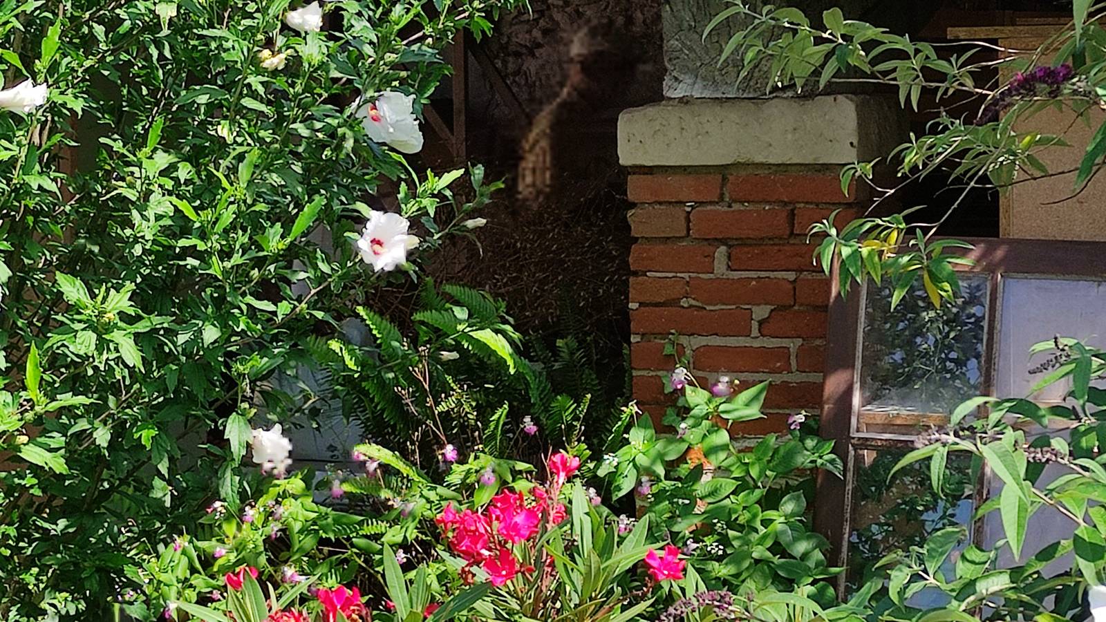 Puy Saint Jammes - Hébergement touristique Occitanie Tarn L'Oustal