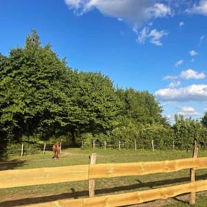 Photo de La Source de nos Racines