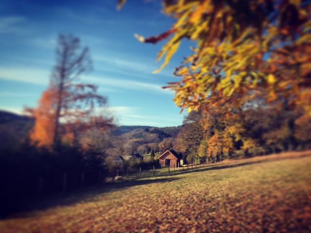 Hébergement touristique Bourgogne-Franche-Comté Saône-et-Loire Chalet Au bois du Haut Folin