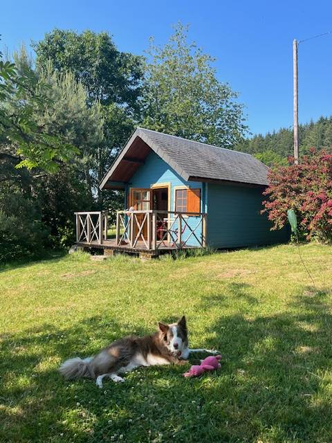 Hébergement touristique Bourgogne-Franche-Comté Saône-et-Loire Cabane Au bois du Haut Folin