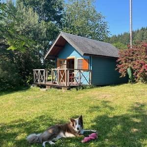 Photo de Cabane Au bois du Haut Folin