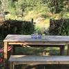 table pique-nique au jardin partagé -  Gîte Le Figuier (Occitanie, Aude)