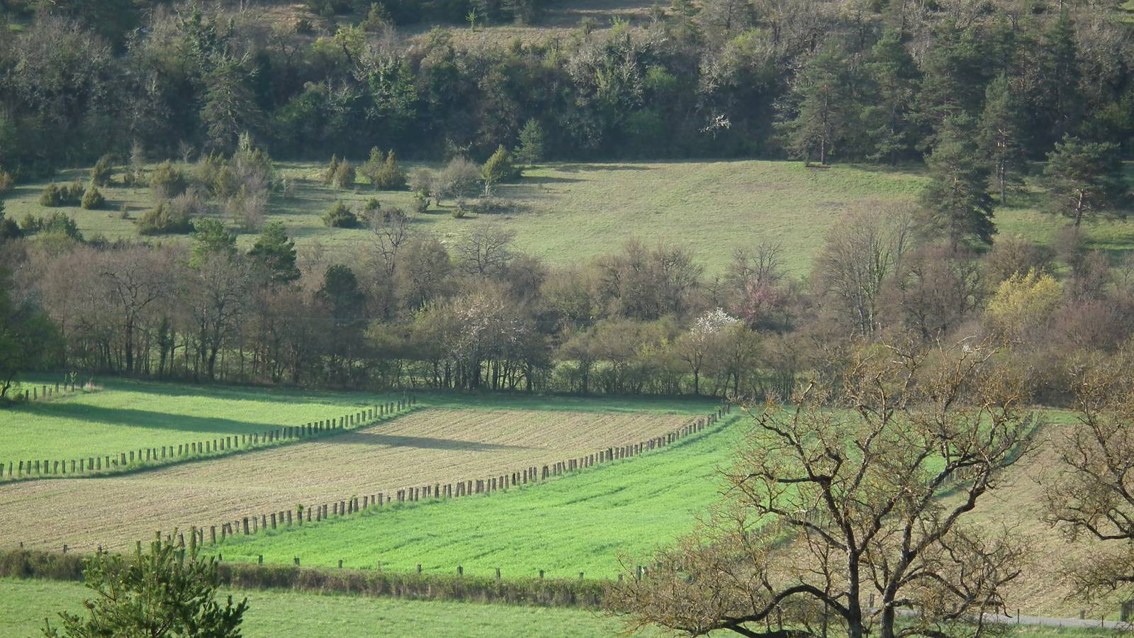  Tourist accommodation Provence-Alpes-Côte d’Azur Alpes-Maritimes LES RUCHERS DE SALLAGRIFFON