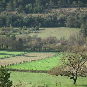 Photo of LES RUCHERS DE SALLAGRIFFON