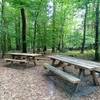aire de pique-nique dans une parcelle boisée privée à 400m du gîte -  Gîte GITE DES BOIS (Pays de la Loire, Loire-Atlantique)