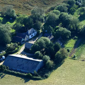 Photo de Les camélias