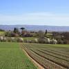Vue au loin -   Gîte d’Ambrosi (Occitanie, Tarn)