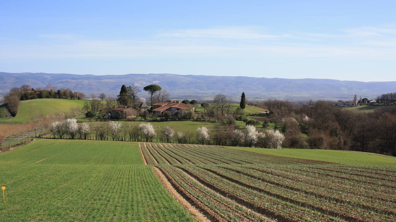 Vue au loin - Hébergement touristique Occitanie Tarn Gîte d’Ambrosi