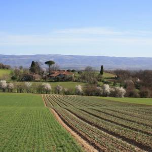 Photo de Gîte d’Ambrosi