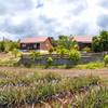  Gîte Pitaya 1 (La Réunion, La Réunion)