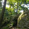 Forêt rocher -  Gîte (holiday cottage) Large Chalet (Auvergne-Rhône-Alpes, Allier)