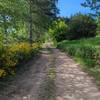 Chemin -  Gîte (holiday cottage) Large Chalet (Auvergne-Rhône-Alpes, Allier)
