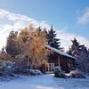 Vue extérieure -  Gîte (holiday cottage) Small Chalet (Auvergne-Rhône-Alpes, Allier)