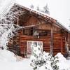 Vue extérieure -  Gîte (holiday cottage) Small Chalet (Auvergne-Rhône-Alpes, Allier)