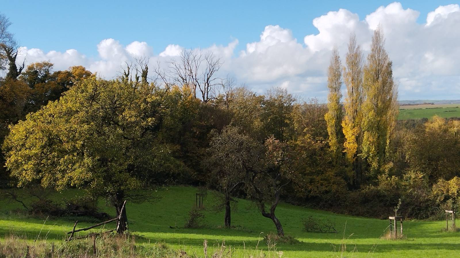 Vue de la chambre - Hébergement touristique Hauts-de-France Pas-de-Calais L'étable - gîte à la ferme