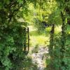 Parcours ombragés -  Gîte Le gîte du Chemin Perray (Normandie, Orne)