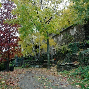 Photo de L'AULNE D'ALUNE