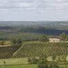 Le gîte dans les vignes -  Gîte La grange d'Alfred (Occitanie, Tarn-et-Garonne)