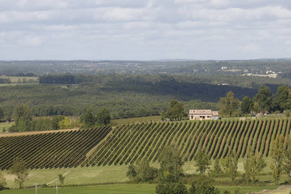 Le gîte dans les vignes - Hébergement touristique Occitanie Tarn-et-Garonne La grange d'Alfred