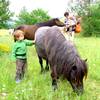 curiosités -  Gîte Les Eco-Logis d'Ensarnaut "Côté Laurier" (Occitanie, Gers)