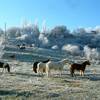 été, hiver, l'exploration buissonnière! -  Gîte Les Eco-Logis d'Ensarnaut "Côté Laurier" (Occitanie, Gers)