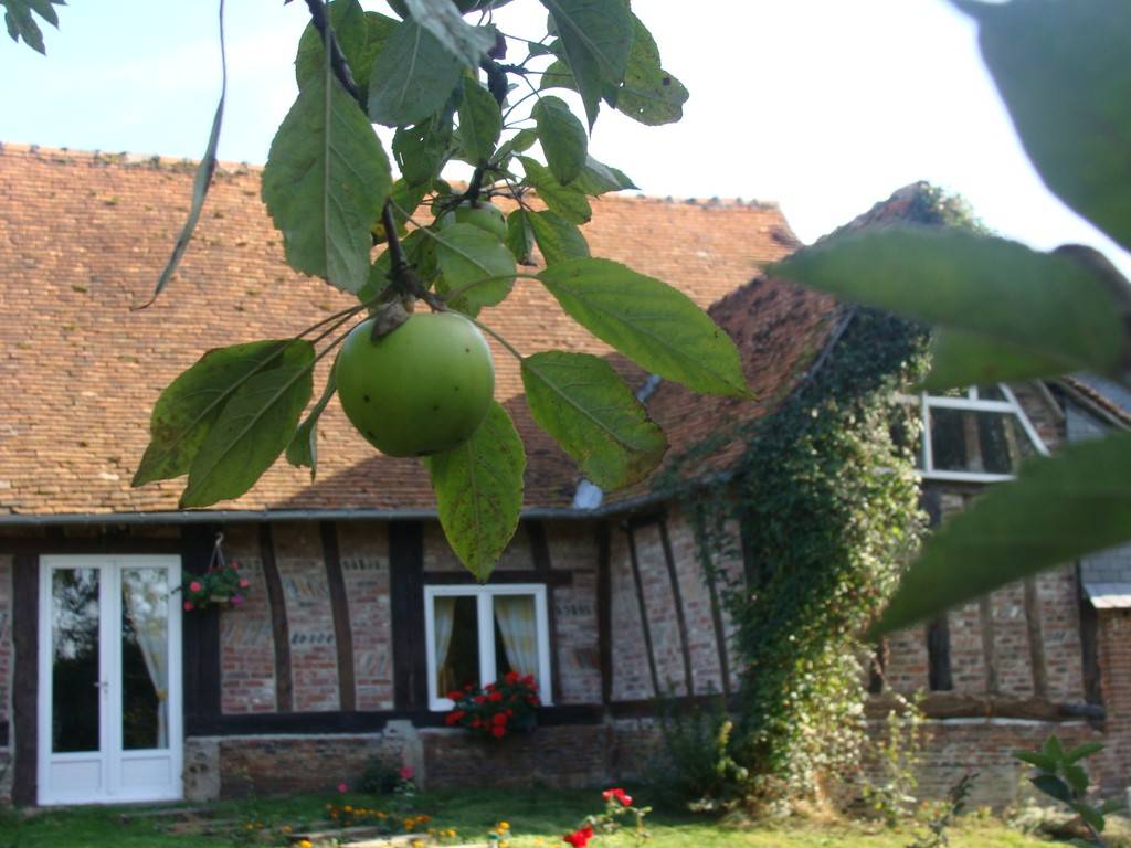 extérieur - Hébergement touristique Normandie Seine-Maritime le pressoir
