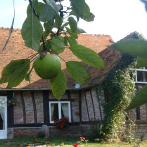 Photo de le pressoir