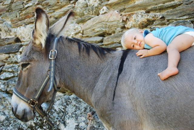  Hébergement touristique Occitanie Lozère gite La Terrasse